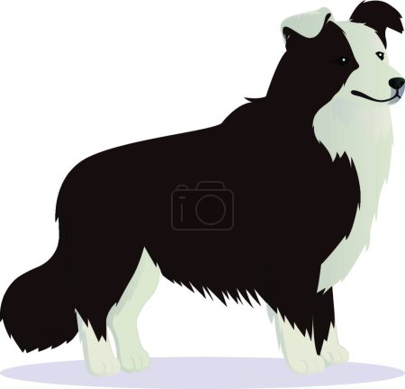 Téléchargez les illustrations : "Border Collie chien vecteur brun illustration" - en licence libre de droit