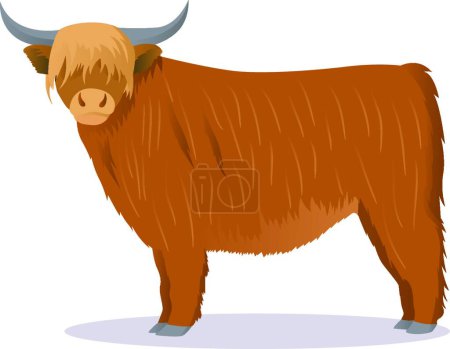 Illustration for "Highland cattle cow vector illustration" - Royalty Free Image