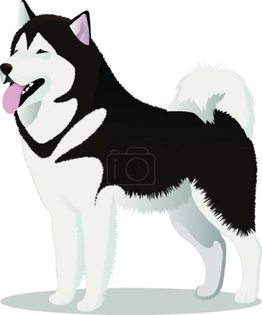 Illustration for "Alaskan Malamute dog vector illustration" - Royalty Free Image