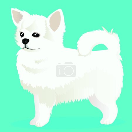 Ilustración de "Chihuahua perro blanco vector ilustración" - Imagen libre de derechos