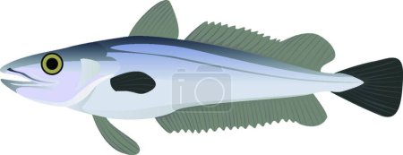 Téléchargez les illustrations : Dessin animé poisson illustration simple, isolé sur fond blanc - en licence libre de droit