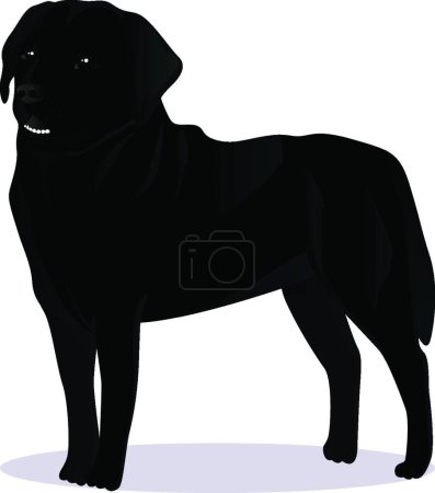 Illustration for "Labrador retriever dog vector illustration" - Royalty Free Image