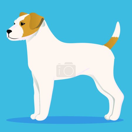 Illustration for "Parson Russel terrier vector illustration" - Royalty Free Image