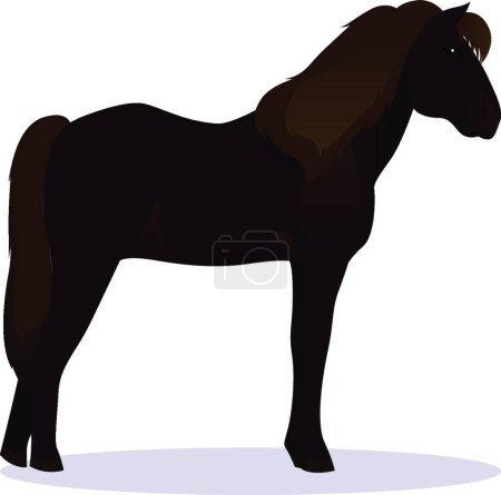 Ilustración de "Ilustración del vector caballo islandés" - Imagen libre de derechos