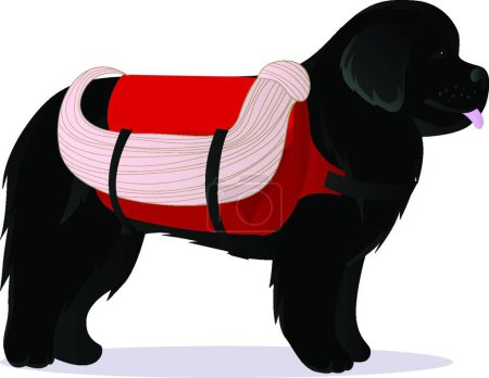 Téléchargez les illustrations : "Illustration vectorielle sauvetage chien Terre-Neuve" - en licence libre de droit