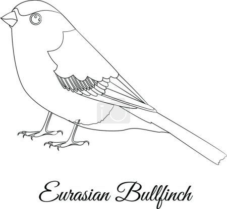 Téléchargez les illustrations : "Eurasian bullfinch cartoon bird coloring" - en licence libre de droit