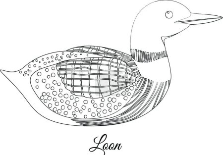 Illustration for "Loon bird coloring vector illustration" - Royalty Free Image