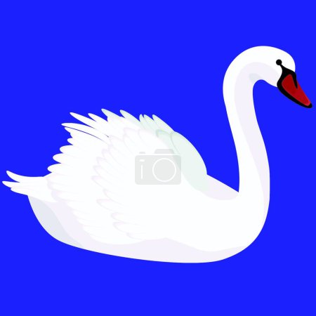 Illustration for White swan on blue background - Royalty Free Image