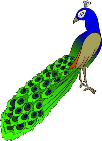 Illustration for Peacock icon vector illustration - Royalty Free Image