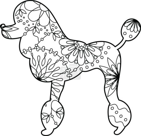 Illustration for Poodle coloring  vector illustration - Royalty Free Image