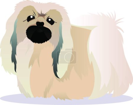 Illustration for Vector illustration  Pekingese dog - Royalty Free Image
