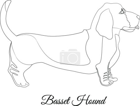 Illustration for Basset hound dog outline  vector illustration - Royalty Free Image