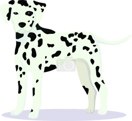 Illustration for Dalmatian dog   vector illustration - Royalty Free Image