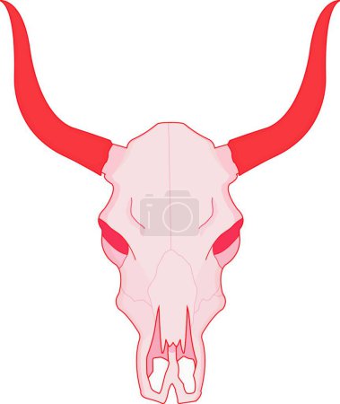 Téléchargez les illustrations : "Crâne de vache. Couleur "illustration vectorielle - en licence libre de droit