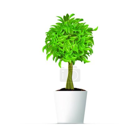 Illustration for "Realistic Office Or Home Decorative Plant In White Pot" - Royalty Free Image