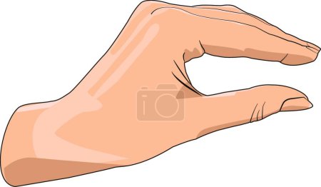 Illustration for "Hand showing small size. Realistic hand gesture." - Royalty Free Image