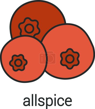 Illustration for Simple vector illustration of allspice - Royalty Free Image