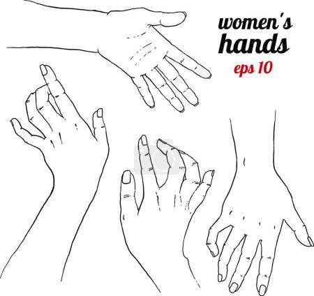 Illustration for Hands care vector illustration - Royalty Free Image