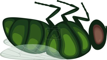 Téléchargez les illustrations : La mouche verte ment. Un insecte mort. Image d'une mouche morte, vue de côté. Un insecte volant. Illustration vectorielle isolée sur fond blanc - en licence libre de droit