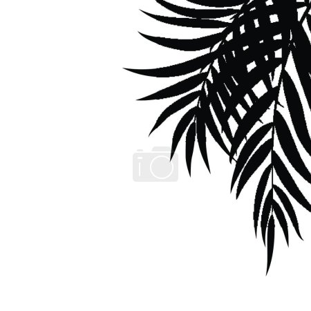 Photo pour Illustration vectorielle de fond de silhouette de feuille de palmier de Beautifil - image libre de droit