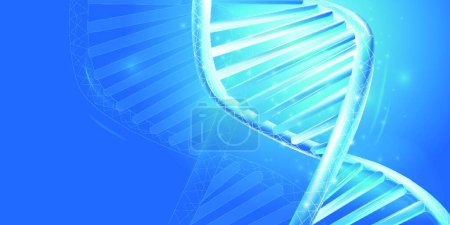 Illustration for "Fragment of double helix DNA strand close-up." - Royalty Free Image
