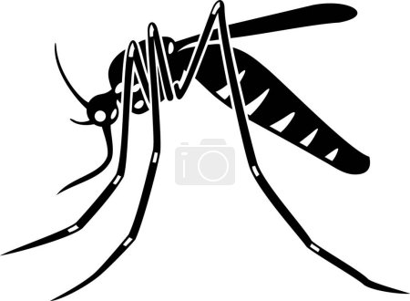 Illustration for Tiger mosquito icon, vector illustration - Royalty Free Image