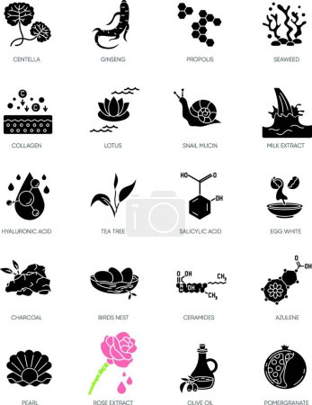 Illustration for "Cosmetic ingredient black glyph icons set on white space. Propolis for royal honey. Exfoliating treatment. Collagen, ceramide. Chemical formulas. Silhouette symbols. Vector isolated illustration" - Royalty Free Image