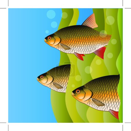 Ilustración de "Los Redfins acuden. Los peces parecen de algas. Bajo el agua. Colores brillantes. Imagen vectorial
." - Imagen libre de derechos