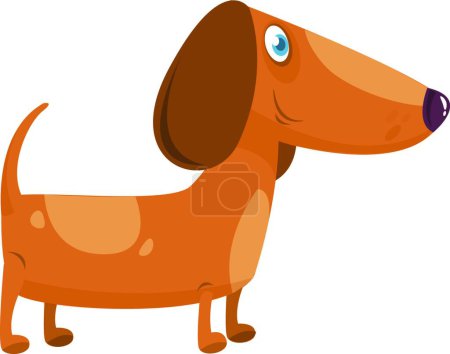 Téléchargez les illustrations : "Dessin animé drôle Dachshund chien. Illustration vectorielle
 ." - en licence libre de droit