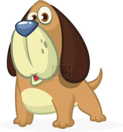 Illustration for "Cute Basset Hound dog cartoon. Vector illustration isolated on white background." - Royalty Free Image