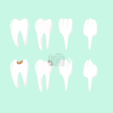 Illustration for "Set of teeth in flat style, healthy teeth and decayed teeth, dentistry and dental health, vector illustration" - Royalty Free Image