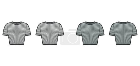 Illustration for Ribbed cropped cotton-jersey t-shirt technical fashion illustration with scoop neck, short sleeves, close fit outwear - Royalty Free Image