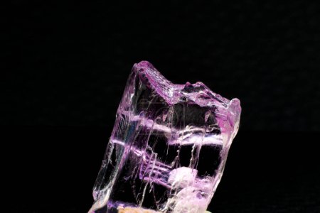 Foto de Grado enfocado en macro Una piedra de cristal Kunzite cruda totalmente transparente y clara, rosa y violeta de alta calidad, aislada sobre una superficie de fondo negro - Imagen libre de derechos