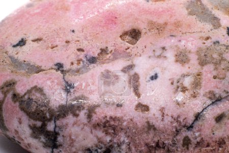 Foto de Cristal de rodonita rosa roscado y pulido enfocado macro, mineral de inosilicato de manganeso aislado sobre un fondo de superficie blanca - Imagen libre de derechos