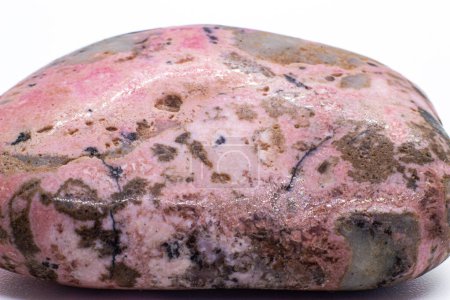 Foto de Cristal de rodonita rosa roscado y pulido enfocado macro, mineral de inosilicato de manganeso aislado sobre un fondo de superficie blanca - Imagen libre de derechos