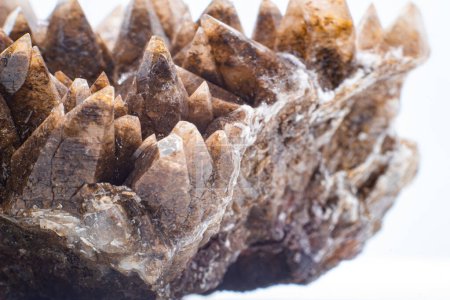 Macro focused raw natural brown sharp spiked calcite, calcite stone, natural sharp and brown carbonate crystal geode isolated on a white surface background