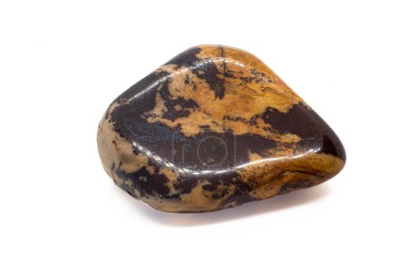 Macro focused Polished Brown and beige cappuccino Jasper Chalcedony tumbled crystal stone isolated on a white  surface background