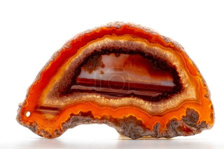 Foto de White, dark and light orange and red semi-transparent agate slice crystal, banded chalcedony stone isolated on a white background surface with detail. Abstract crystal image with lots of copy space - Imagen libre de derechos