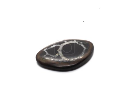 Piedra del dragón, Geoda septentrional pulido cabujón de cristal brillante en la superficie blanca aislada. Carbonato mineral Geoda marrón y gema negra con vetas minerales blancas aisladas.