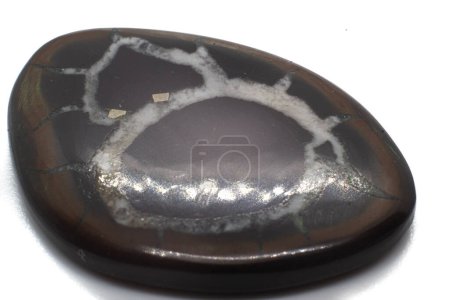 Piedra del dragón, Geoda septentrional pulido cabujón de cristal brillante en la superficie blanca aislada. Carbonato mineral Geoda marrón y gema negra con vetas minerales blancas aisladas.