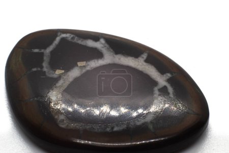Dragon stone, Septarian Geode polished shiny crystal cabochon on white surface isolated. Carbonate mineral Brown and black gemstone geode with white mineral veins isolated.