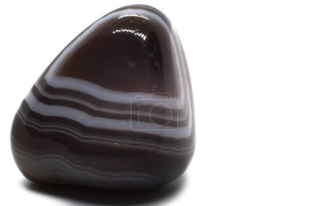 Small shiny polished Botswana Agate Chalcedony, a colorful distinctly layered crystal with white, brown and black bands. Banded Agate tumbled stone on white surface isolated