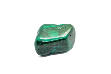 Vibrante y distintivamente bandas y capas de mineral de cobre verde oxidado, un cristal de malaquita verde profundo pulido tumbado aislado sobre un fondo de superficie blanca