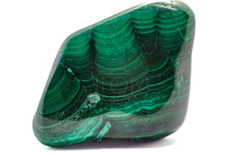 Téléchargez les photos : Vibrant et distinctement bagué et stratifié minéral de cuivre oxydé vert, un cristal de malachite vert profond poli tumbled isolé sur un fond de surface blanche - en image libre de droit