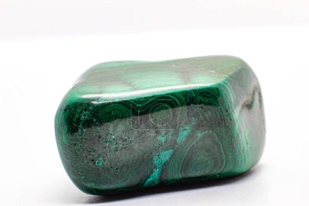 Vibrant et distinctement bagué et stratifié minéral de cuivre oxydé vert, un cristal de malachite vert profond poli tumbled isolé sur un fond de surface blanche
