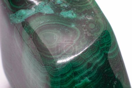 Lebendiges und unverwechselbar gebändertes und geschichtetes grün oxidiertes Kupfermineral, ein polierter tiefer grüner Malachit-Kristall, isoliert auf weißem Oberflächenhintergrund
