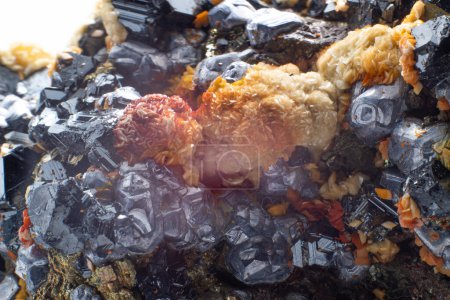 Téléchargez les photos : Un amas brut de pyrite, galène, limonite, calcite et sphalérite isolé sur une macro de fond blanc. Divers minéraux cristallisés de sulfure, d'hydroxyde, de fer et de silicate dans la matrice. - en image libre de droit