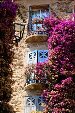 Foto de Un día luminoso y soleado en el encantador Bormes les Mimosas revela una hermosa casa adornada con plantas y árboles florecientes en su exterior. - Imagen libre de derechos