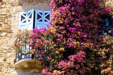 Téléchargez les photos : Une journée ensoleillée et lumineuse dans le charmant Bormes les Mimosas révèle une belle maison ornée de plantes et d'arbres à fleurs à l'extérieur. - en image libre de droit