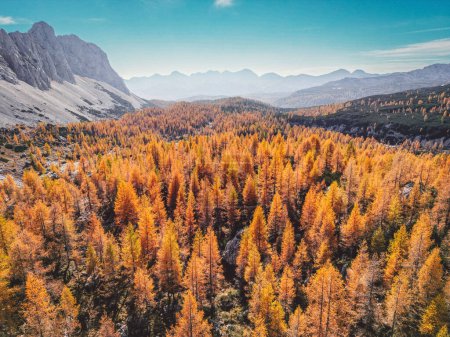 Téléchargez les photos : Fantastic autumn mountain views in Triglav national park, red autumn forest covering the grounds. Located in the Bohinj Valley of the Julian Alps. Dramatic unusual scene. Slovenia, Europe. Beauty - en image libre de droit